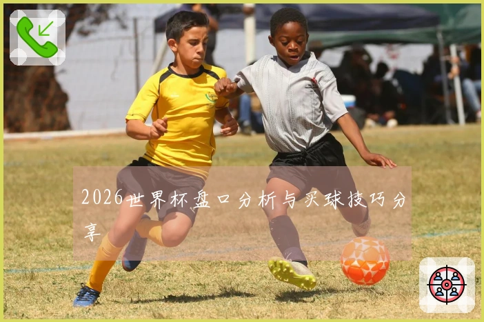 2026世界杯盘口分析与买球技巧分享