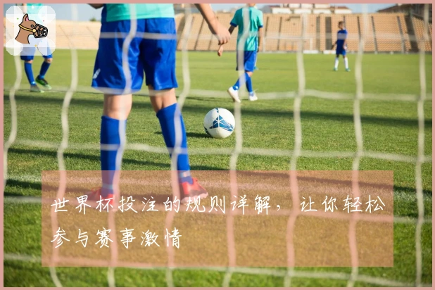 世界杯投注的规则详解，让你轻松参与赛事激情