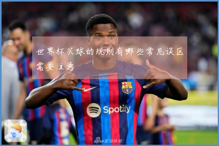 世界杯买球的规则有哪些常见误区需要注意
