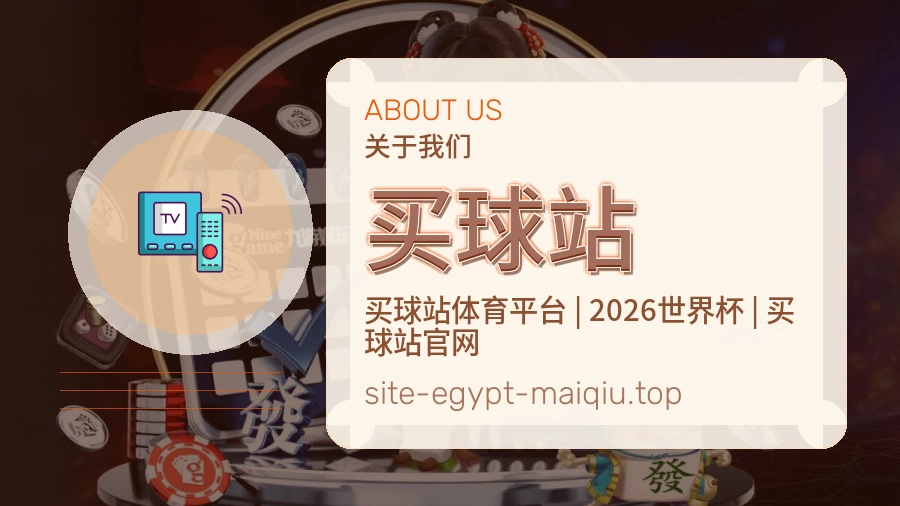 关于 买球站 团队与服务